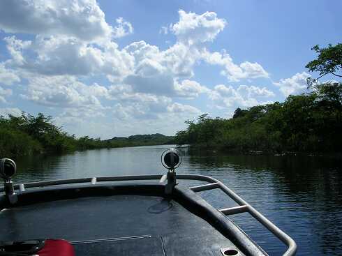 cf000003.jpg
