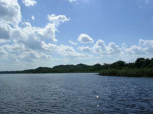 cf000004.jpg