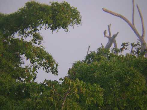 cf000047.jpg