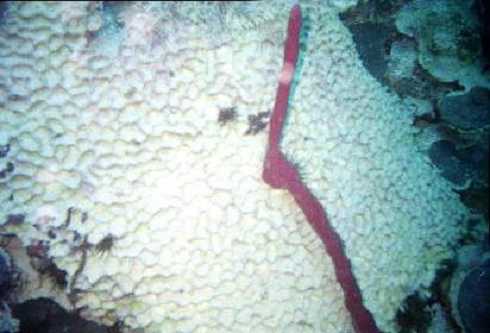 db000018.jpg