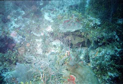 db000038.jpg