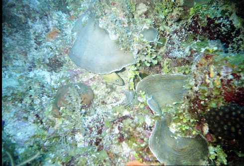 db000042.jpg