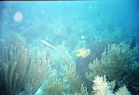 db000054.jpg