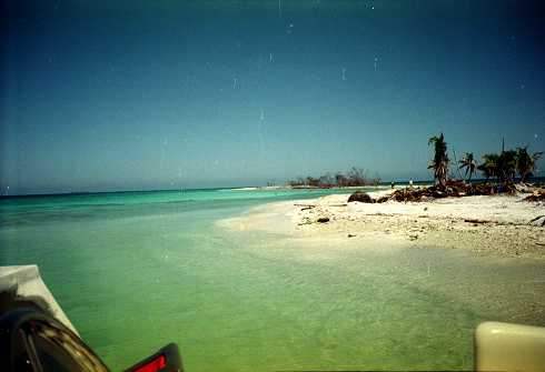 dc000037.jpg