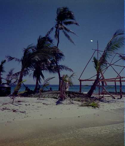 dc000040.jpg
