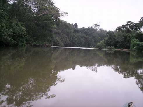 dg000016.jpg