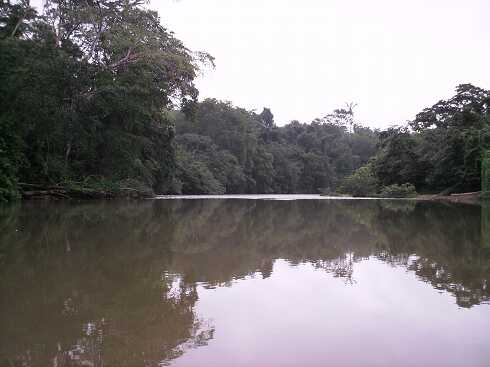 dg000017.jpg