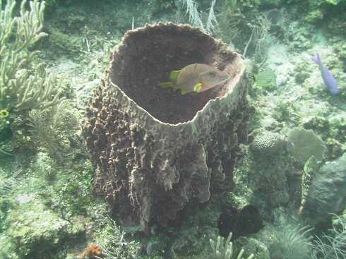 dg000084.jpg