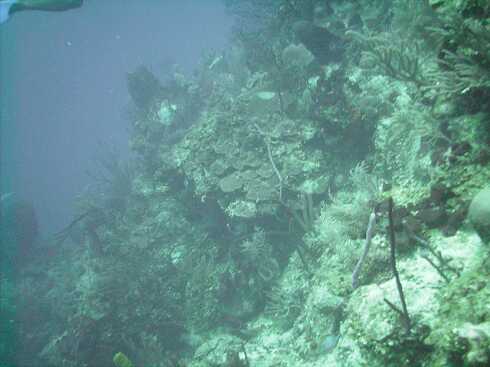 dg000105.jpg