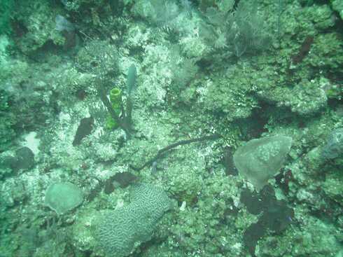dg000107.jpg