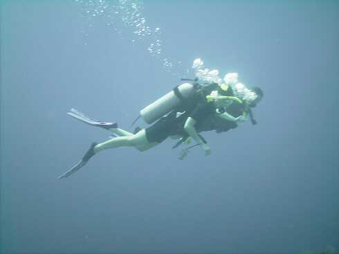 dg000128.jpg
