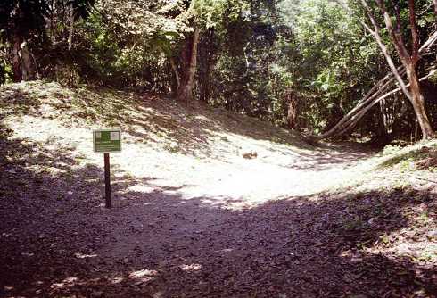 fa000105.jpg