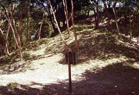 fa000106.jpg