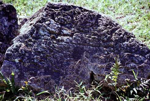 fa000159.jpg