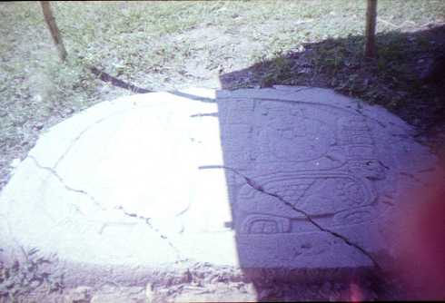 fa000194.jpg