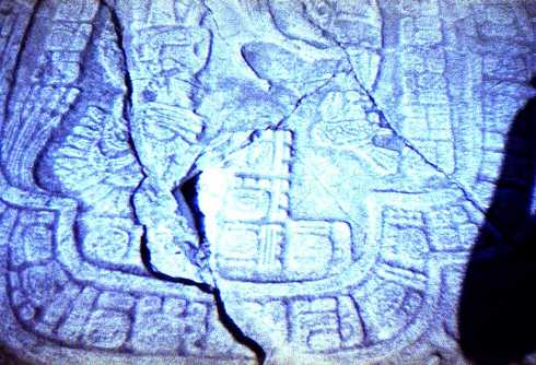 fa000203.jpg