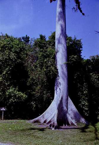 fa000226.jpg