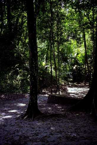 fa000232.jpg