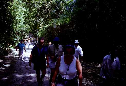 fa000234.jpg