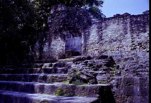 fa000242.jpg