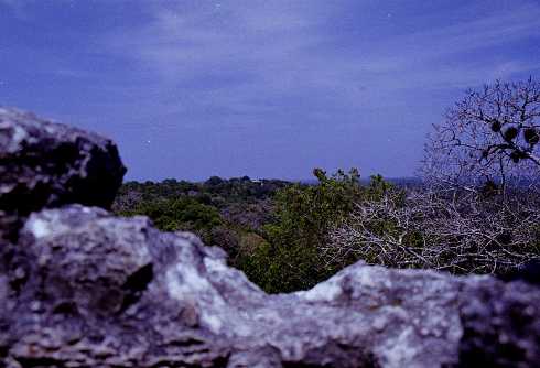 fa000275.jpg