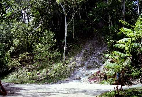 fa000281.jpg