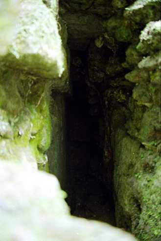 fa000285.jpg