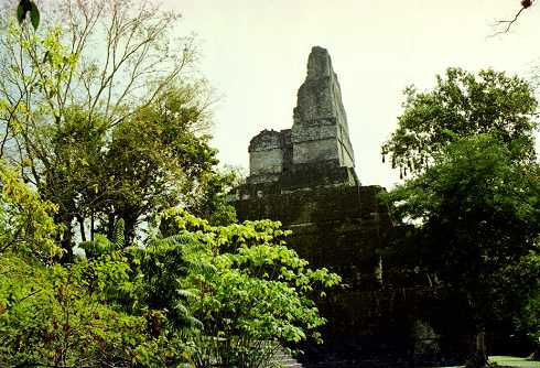 fa000304.jpg