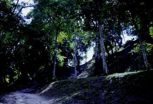 fa000307.jpg