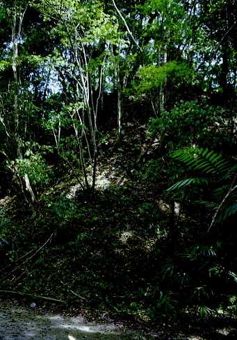 fa000311.jpg