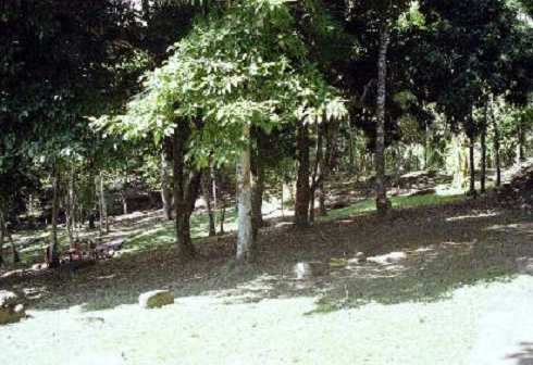 fb000126.jpg