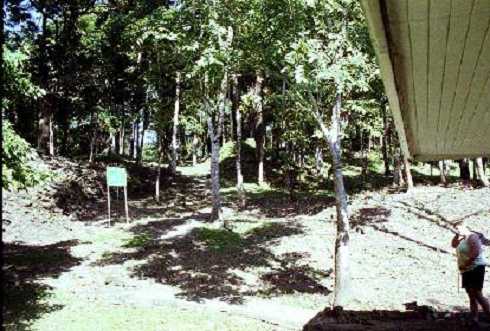 fb000137.jpg