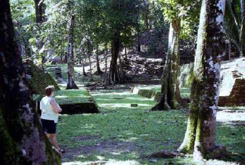 fb000145.jpg
