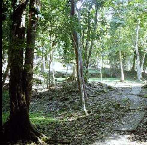 fb000150.jpg
