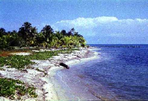 fb000245.jpg