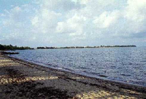 fb000253.jpg