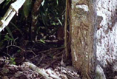 fb000281.jpg