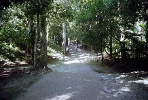 fb000296.jpg