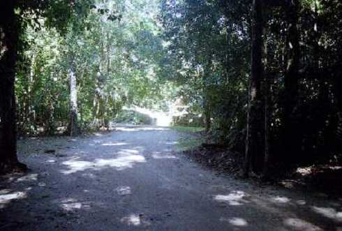 fb000297.jpg