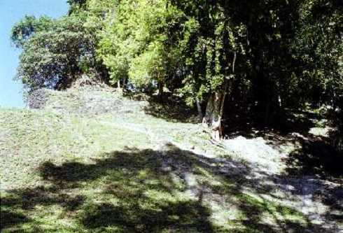 fb000310.jpg