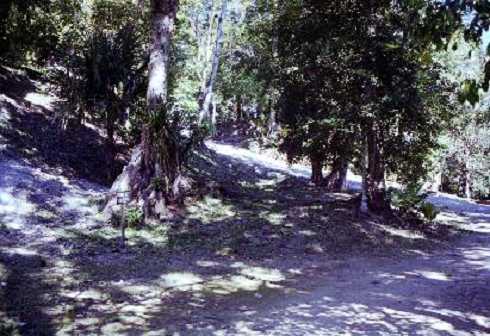 fb000311.jpg