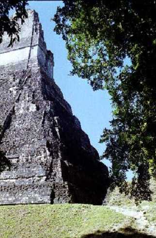 fb000313.jpg