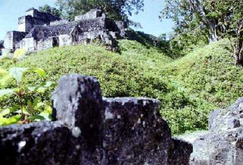 fb000329.jpg
