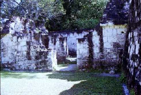 fb000330.jpg