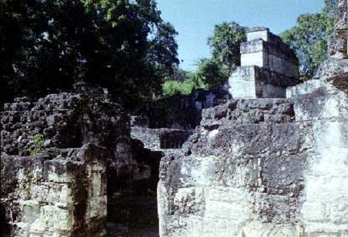 fb000339.jpg