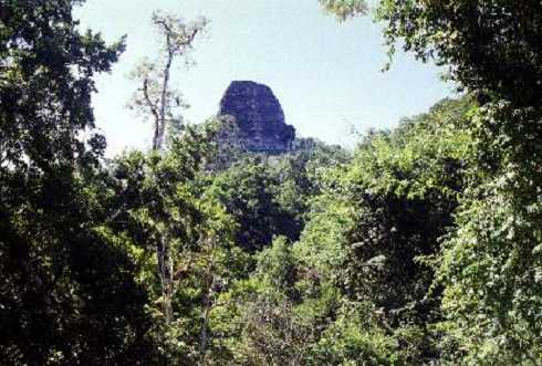 fb000350.jpg