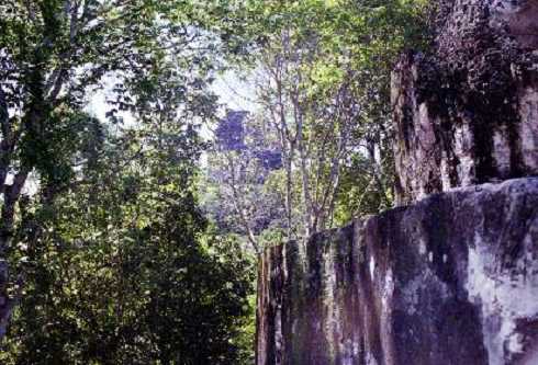 fb000353.jpg