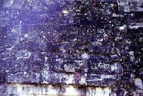 fb000354.jpg