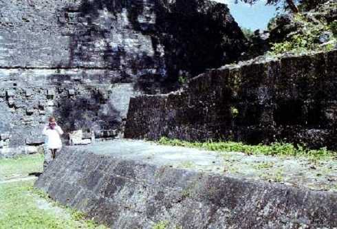 fb000390.jpg