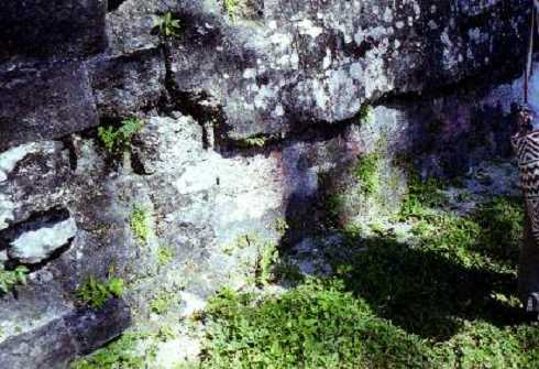 fb000393.jpg